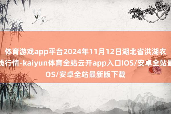 体育游戏app平台2024年11月12日湖北省洪湖农贸市集价钱行情-kaiyun体育全站云开app入口IOS/安卓全站最新版下载