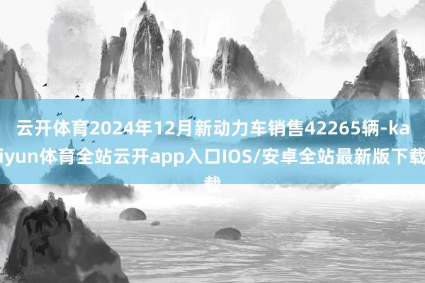 云开体育2024年12月新动力车销售42265辆-kaiyun体育全站云开app入口IOS/安卓全站最新版下载
