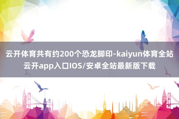 云开体育共有约200个恐龙脚印-kaiyun体育全站云开app入口IOS/安卓全站最新版下载