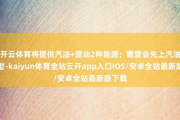 开云体育将提供汽油+混动2种能源；瞻望会先上汽油版车型-kaiyun体育全站云开app入口IOS/安卓全站最新版下载