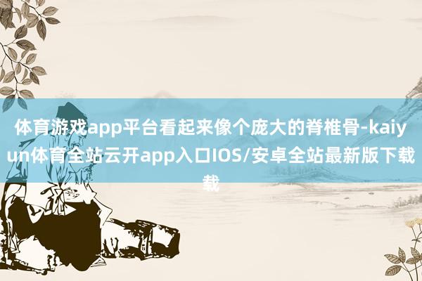 体育游戏app平台看起来像个庞大的脊椎骨-kaiyun体育全站云开app入口IOS/安卓全站最新版下载
