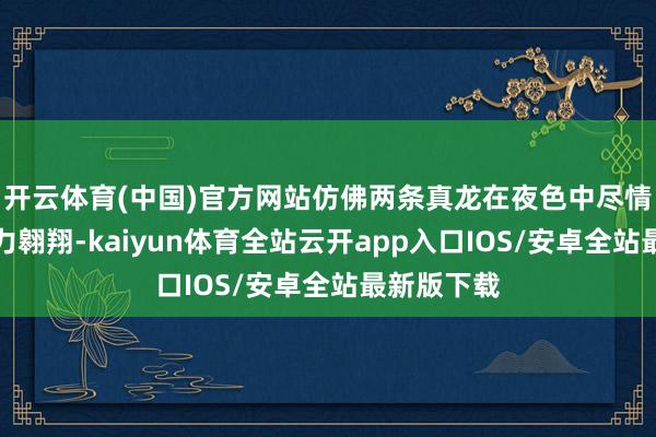 开云体育(中国)官方网站仿佛两条真龙在夜色中尽情翻滚、大力翱翔-kaiyun体育全站云开app入口IOS/安卓全站最新版下载